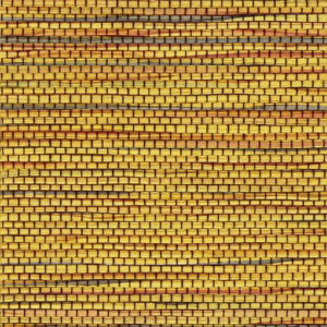 NARA- 01 Mango