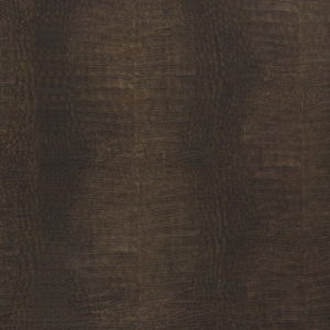 R_71547_raum tapéta